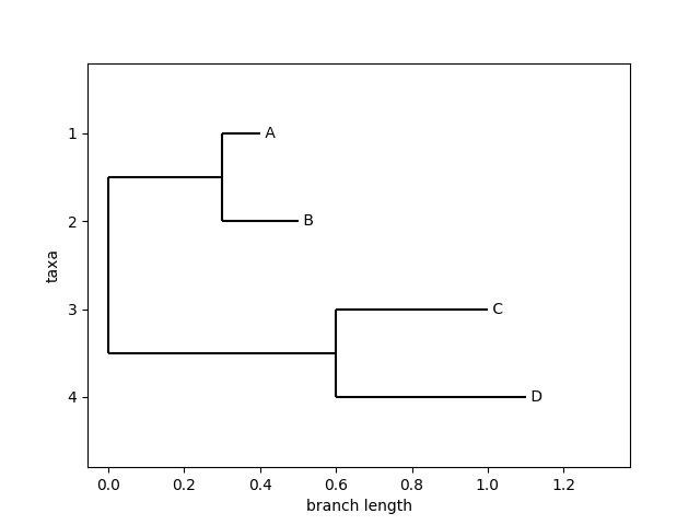 biopython-phylo-draw.png